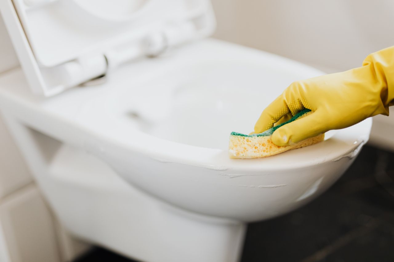 About Crop unrecognizable person in yellow rubber glove cleaning toilet bowl with disinfecting detergent and sponge